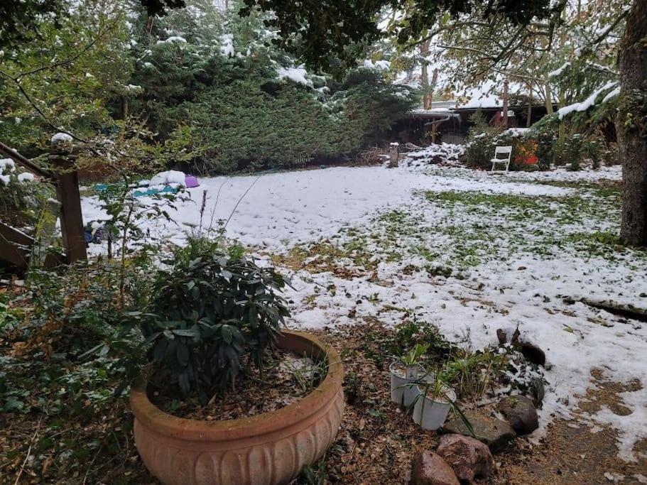 Gaestewohnung " Am Harsdorf " Magdeburgo Esterno foto